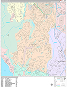 Laguna Niguel  Wall Map Premium Style